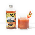 Mixly Strawberry Rhubarb Cocktail or Mocktail Mixer